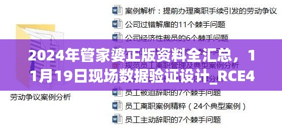 2024年管家婆正版资料全汇总，11月19日现场数据验证设计_RCE4.18.92实施版本