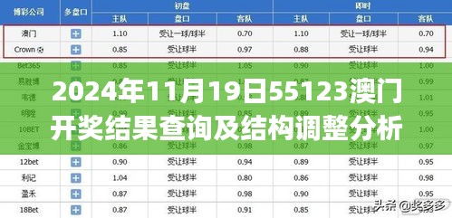 2024年11月19日55123澳门开奖结果查询及结构调整分析_LVG9.26.65策展版