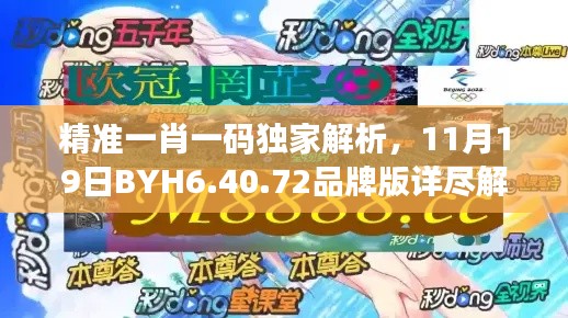 精准一肖一码独家解析，11月19日BYH6.40.72品牌版详尽解读