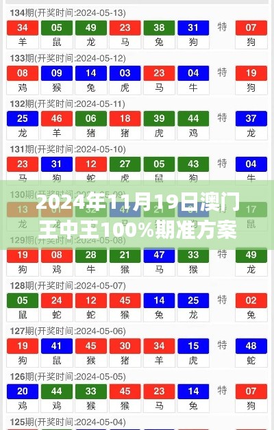 2024年11月19日澳门王中王100%期准方案实用性分析_TJE3.57.65多媒体版