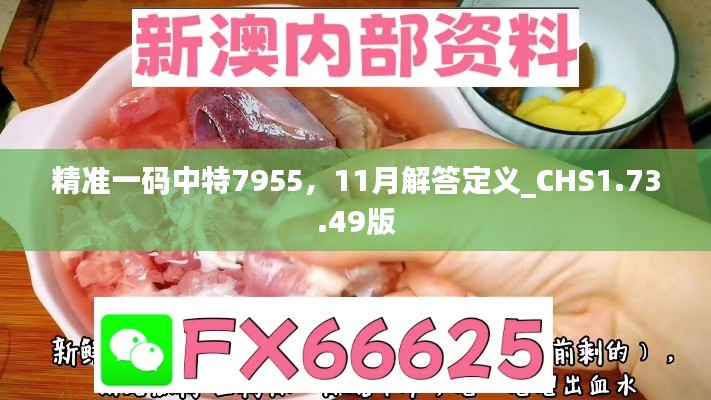 精准一码中特7955，11月解答定义_CHS1.73.49版