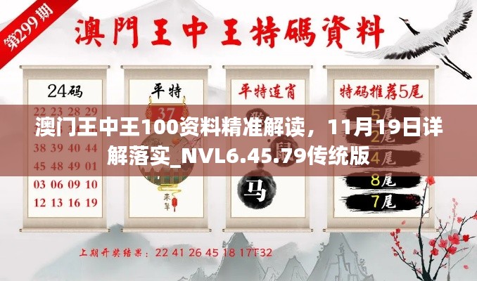 澳门王中王100资料精准解读，11月19日详解落实_NVL6.45.79传统版