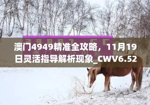 澳门4949精准全攻略，11月19日灵活指导解析现象_CWV6.52.42革新版