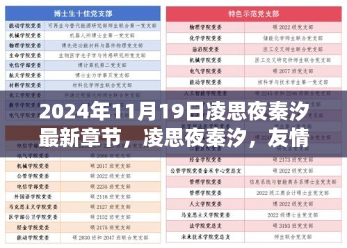 凌思夜秦汐的友情与爱，2024年11月19日的奇妙之夜