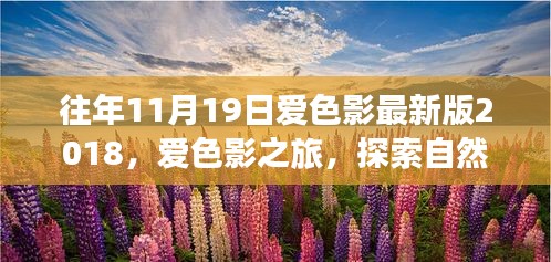 往年11月19日爱色影最新版2018，爱色影之旅，探索自然美景的奇妙之旅——往年11月19日，我们在路上