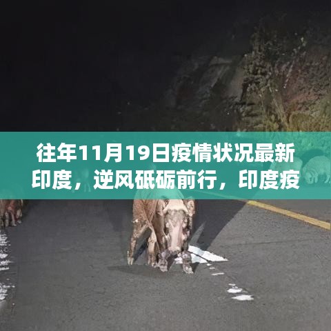 印度疫情下的励志故事与学习的力量，逆风砥砺前行，历年11月19日最新疫情状况回顾