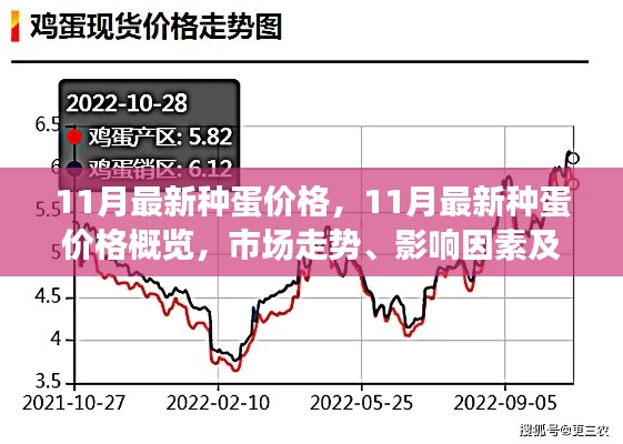 11月最新种蛋价格概览，市场走势、影响因素与未来展望