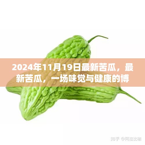 最新苦瓜，味觉与健康的博弈盛宴（2024年11月19日）