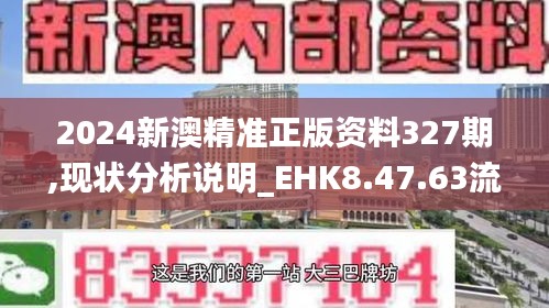 2024新澳精准正版资料327期,现状分析说明_EHK8.47.63流线型版