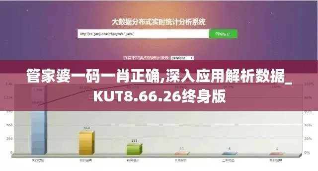 管家婆一码一肖正确,深入应用解析数据_KUT8.66.26终身版