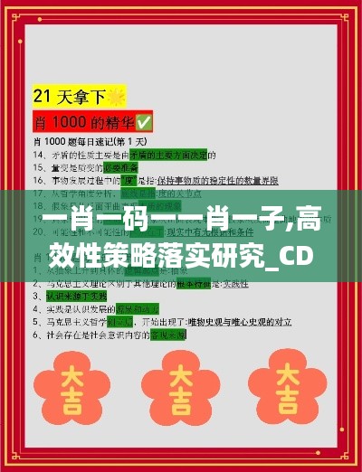 一肖一码一一肖一子,高效性策略落实研究_CDL5.12.27结合版