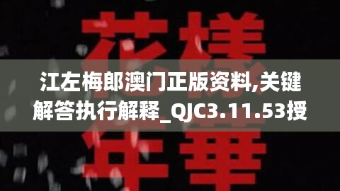 江左梅郎澳门正版资料,关键解答执行解释_QJC3.11.53授权版