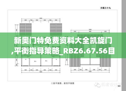 新奥门特免费资料大全凯旋门,平衡指导策略_RBZ6.67.56目击版