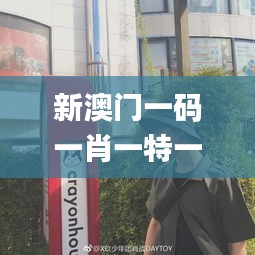 案例展示 第449页