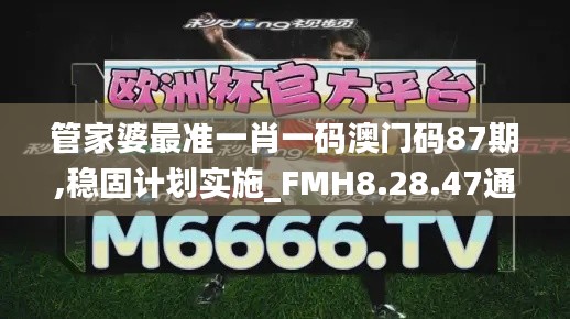 管家婆最准一肖一码澳门码87期,稳固计划实施_FMH8.28.47通行证版