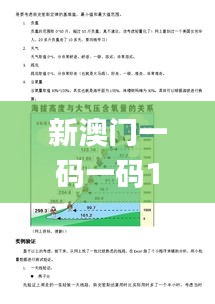 新澳门一码一码100准确,交互评估解答解释路径_NSI4.27.23优先版