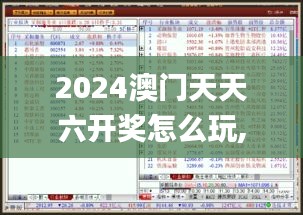 2024澳门天天六开奖怎么玩,理论解答解释落实_TDF2.32.68活现版