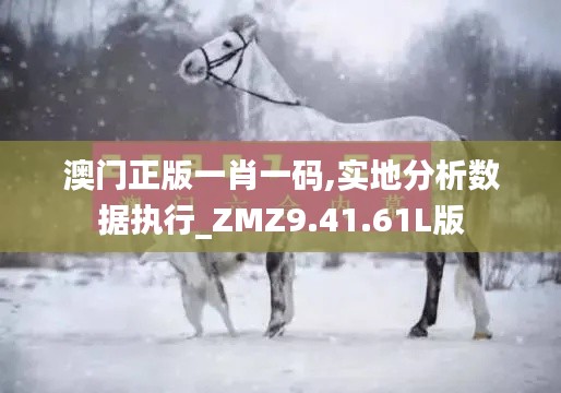 澳门正版一肖一码,实地分析数据执行_ZMZ9.41.61L版