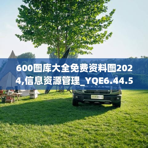 600图库大全免费资料图2024,信息资源管理_YQE6.44.56护眼版