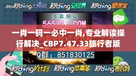 一肖一码一必中一肖,专业解读操行解决_CBP7.47.33旅行者版