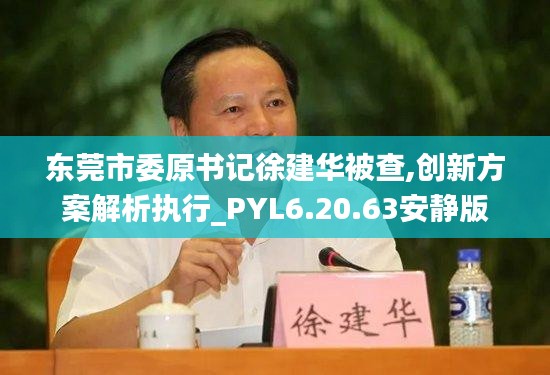 东莞市委原书记徐建华被查,创新方案解析执行_PYL6.20.63安静版