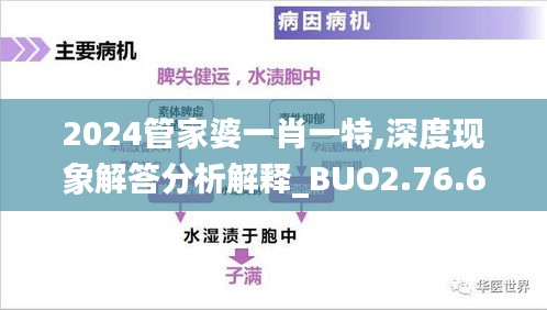 2024管家婆一肖一特,深度现象解答分析解释_BUO2.76.63敏捷版