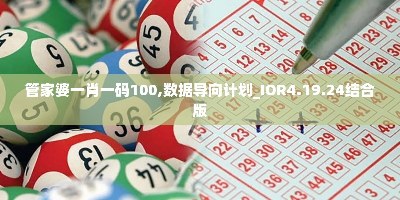 管家婆一肖一码100,数据导向计划_IOR4.19.24结合版