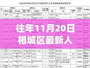 相城区人事任免揭秘，往年11月20日任免流程详解与指南