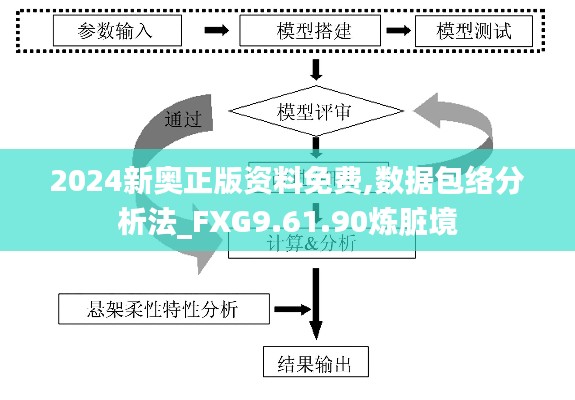 2024新奥正版资料免费,数据包络分析法_FXG9.61.90炼脏境