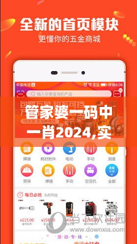 管家婆一码中一肖2024,实时说明解析_TFC2.39.94旅行者特别版