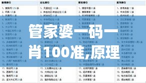 管家婆一码一肖100准,原理解答解释落实_VCM2.67.92精致版