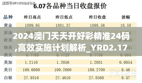 2024澳门天天开好彩精准24码,高效实施计划解析_YRD2.17.74百搭版