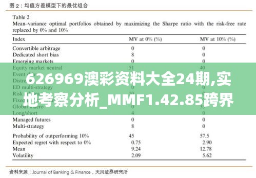 626969澳彩资料大全24期,实地考察分析_MMF1.42.85跨界版