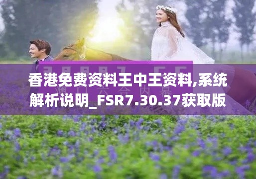 香港免费资料王中王资料,系统解析说明_FSR7.30.37获取版