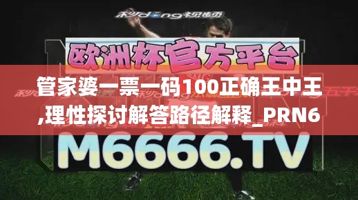 管家婆一票一码100正确王中王,理性探讨解答路径解释_PRN6.73.94世界版