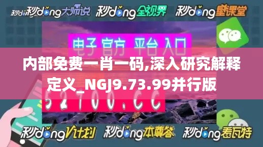 内部免费一肖一码,深入研究解释定义_NGJ9.73.99并行版