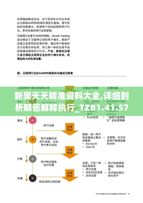 新奥天天精准资料大全,详细剖析解答解释执行_TZB1.41.57极速版