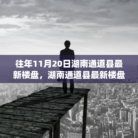 湖南通道县最新楼盘购买指南，选购心仪房源的实用指南（往年11月最新更新）