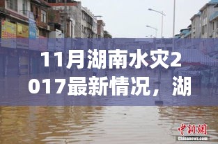 湖南水灾背后的独特小巷故事，隐藏版特色小店的奇遇记