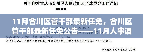 合川区管干部最新任免公告，11月人事调整概览