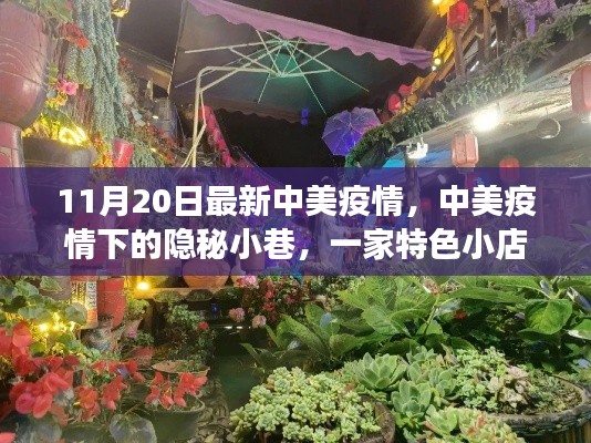 中美疫情下的隐秘小巷，一家特色小店的独特故事（最新更新）