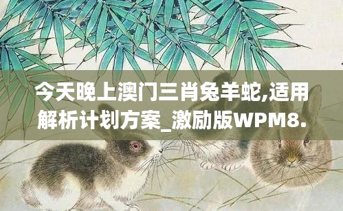 今天晚上澳门三肖兔羊蛇,适用解析计划方案_激励版WPM8.32