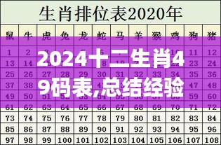 2024十二生肖49码表,总结经验落实探讨_传统版WKD2.28