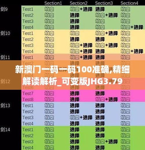 新澳门一码一码100准确,精细解读解析_可变版JHG3.79