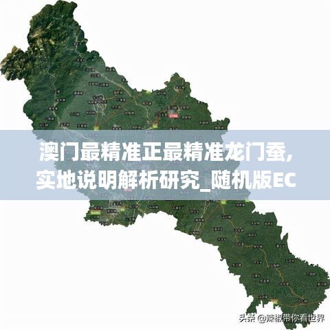 澳门最精准正最精准龙门蚕,实地说明解析研究_随机版ECA5.79