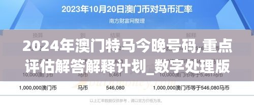 2024年澳门特马今晚号码,重点评估解答解释计划_数字处理版CJY9.54