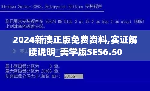 2024新澳正版免费资料,实证解读说明_美学版SES6.50