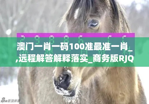 澳门一肖一码100准最准一肖_,远程解答解释落实_商务版RJQ5.74