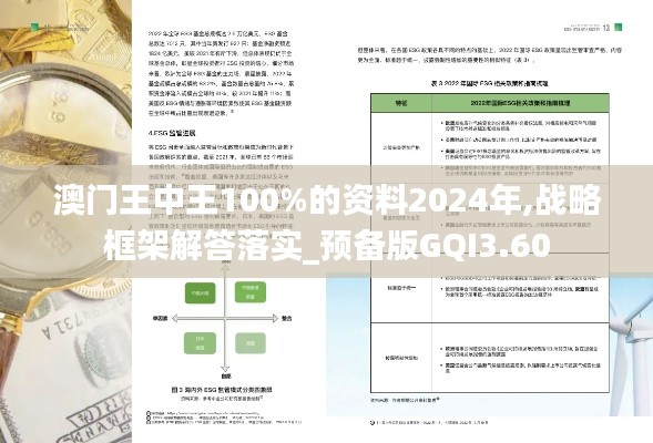 澳门王中王100%的资料2024年,战略框架解答落实_预备版GQI3.60