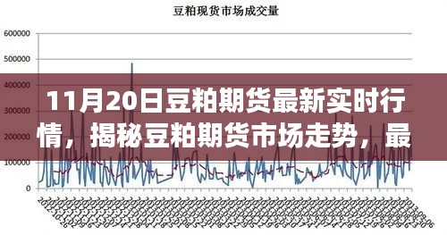 揭秘豆粕期货市场走势，最新实时行情分析与预测（11月20日）